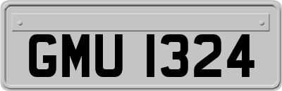 GMU1324