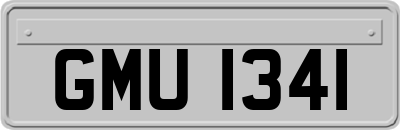 GMU1341