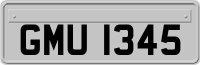 GMU1345
