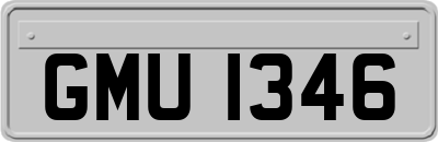 GMU1346