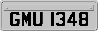 GMU1348