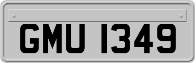 GMU1349