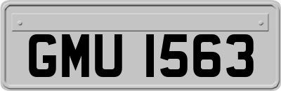 GMU1563
