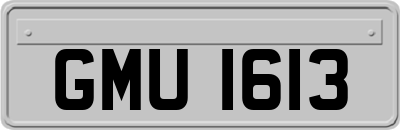GMU1613