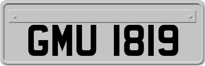 GMU1819