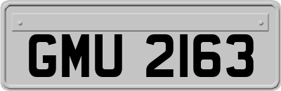 GMU2163