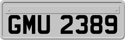 GMU2389