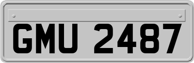 GMU2487