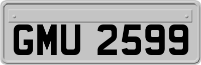 GMU2599