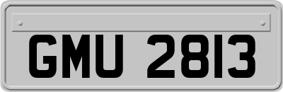 GMU2813