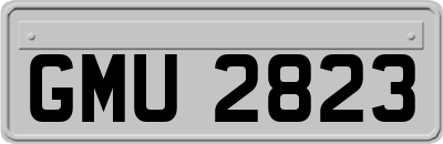 GMU2823