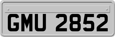 GMU2852