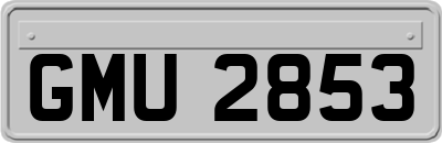 GMU2853