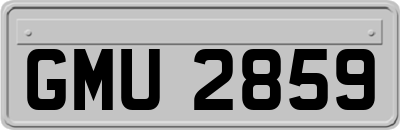 GMU2859