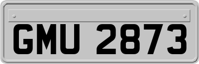 GMU2873