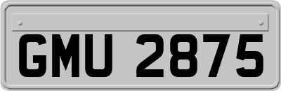 GMU2875