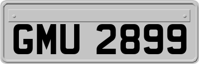 GMU2899
