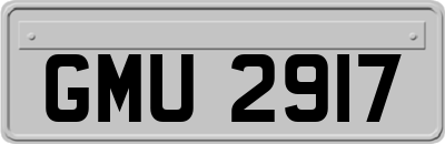 GMU2917