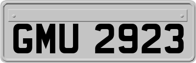 GMU2923