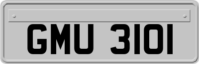 GMU3101