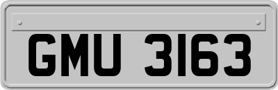 GMU3163