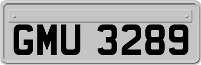 GMU3289