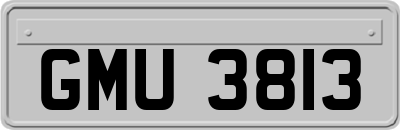 GMU3813