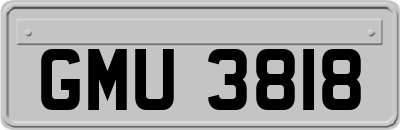 GMU3818