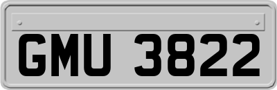 GMU3822