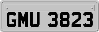 GMU3823