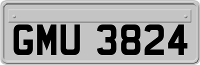 GMU3824