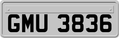 GMU3836