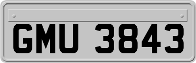 GMU3843