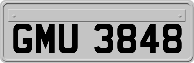 GMU3848