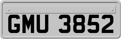 GMU3852