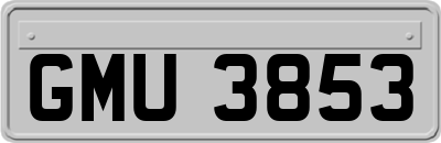GMU3853
