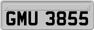 GMU3855