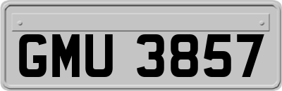 GMU3857