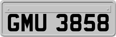 GMU3858