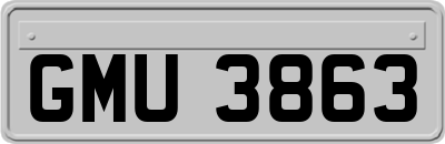 GMU3863