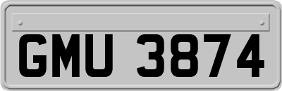 GMU3874
