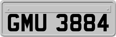 GMU3884