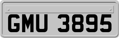 GMU3895