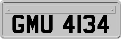 GMU4134