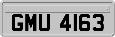 GMU4163