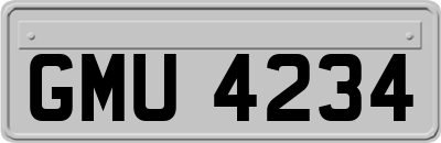 GMU4234