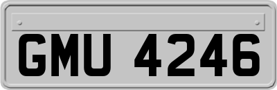 GMU4246