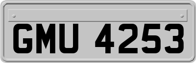 GMU4253