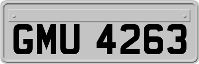 GMU4263