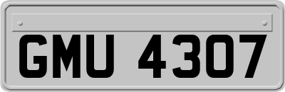 GMU4307